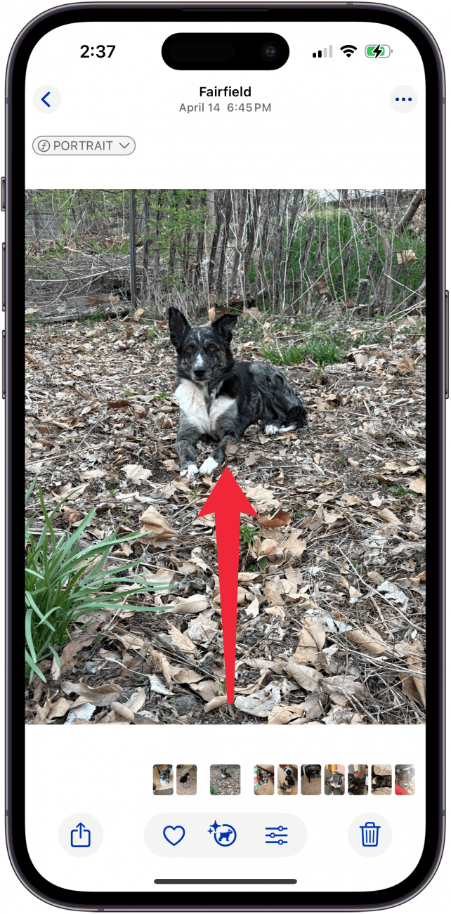 swipe up on photo to add caption to photo iphone