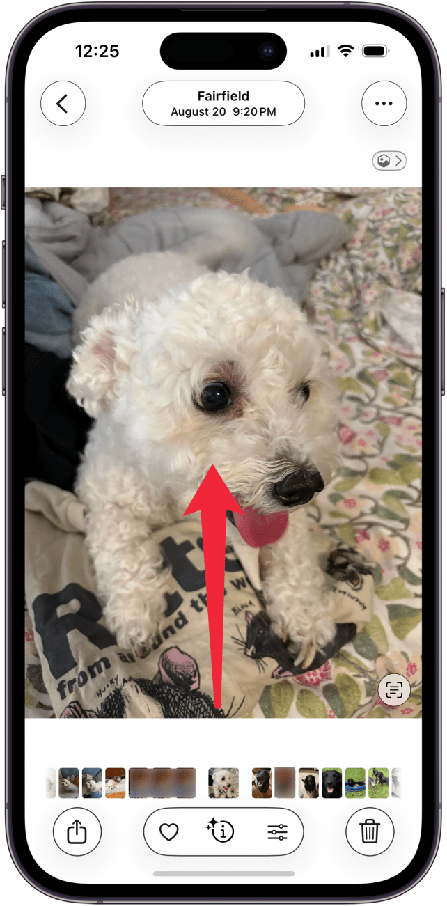 swipe up on photo to reveal metadata
