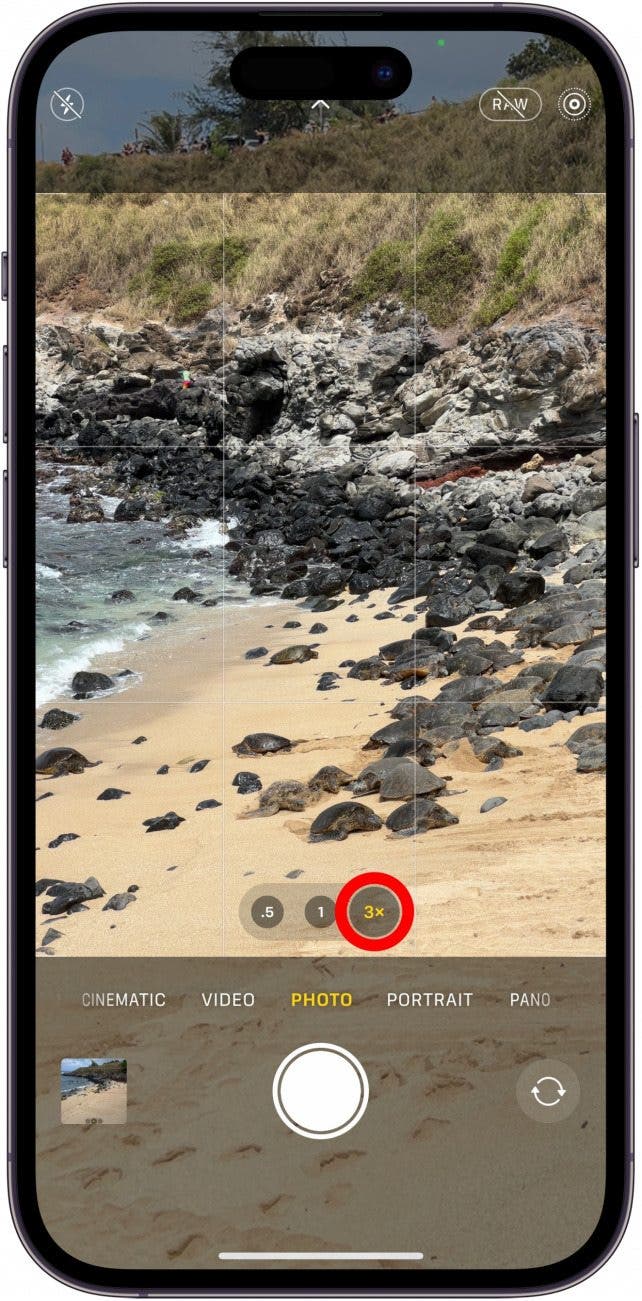 Optical Zoom vs. Digital Zoom iPhone Explained