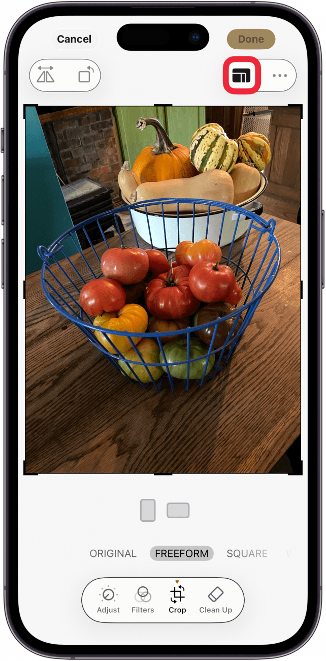 tap aspect ratio icon to crop photo