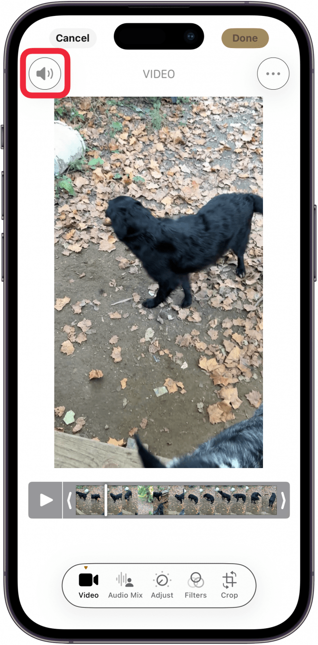 tap audio icon to mute video tap audio icon to mute video
