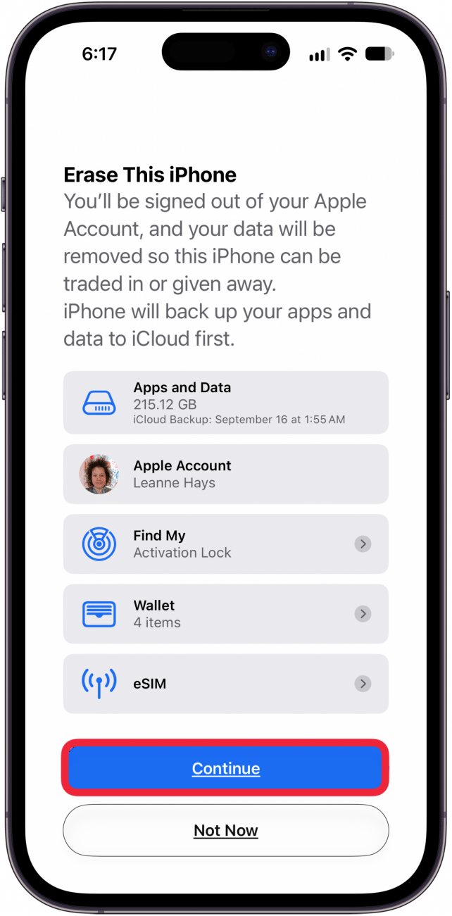 tap continue in erase this iphone