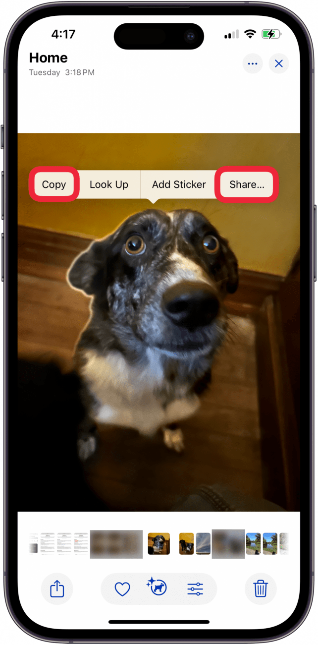 tap copy or share to use image with removed background