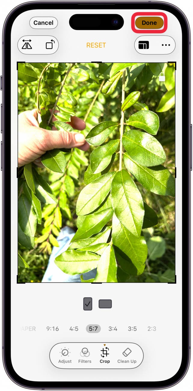 tap done when finished cropping photo