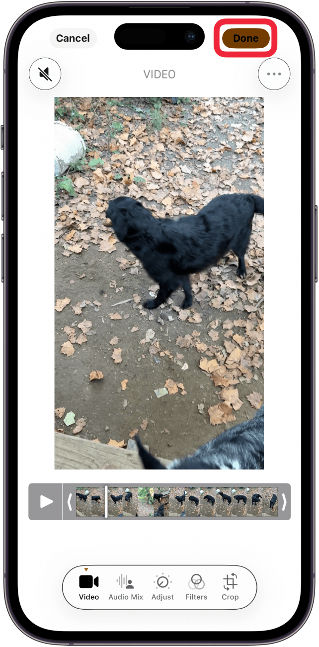 tap done when finished muting video tap done when finished muting video