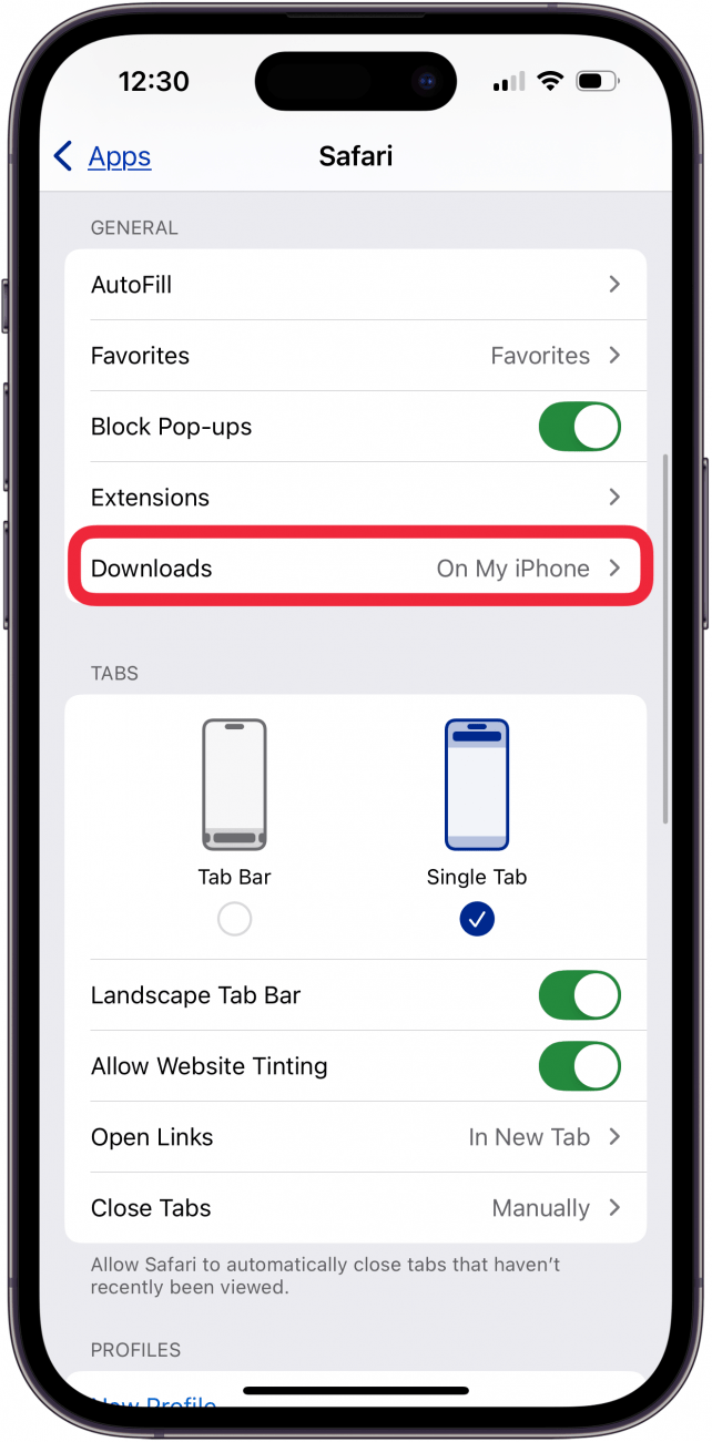 tap downloads in safari app settings