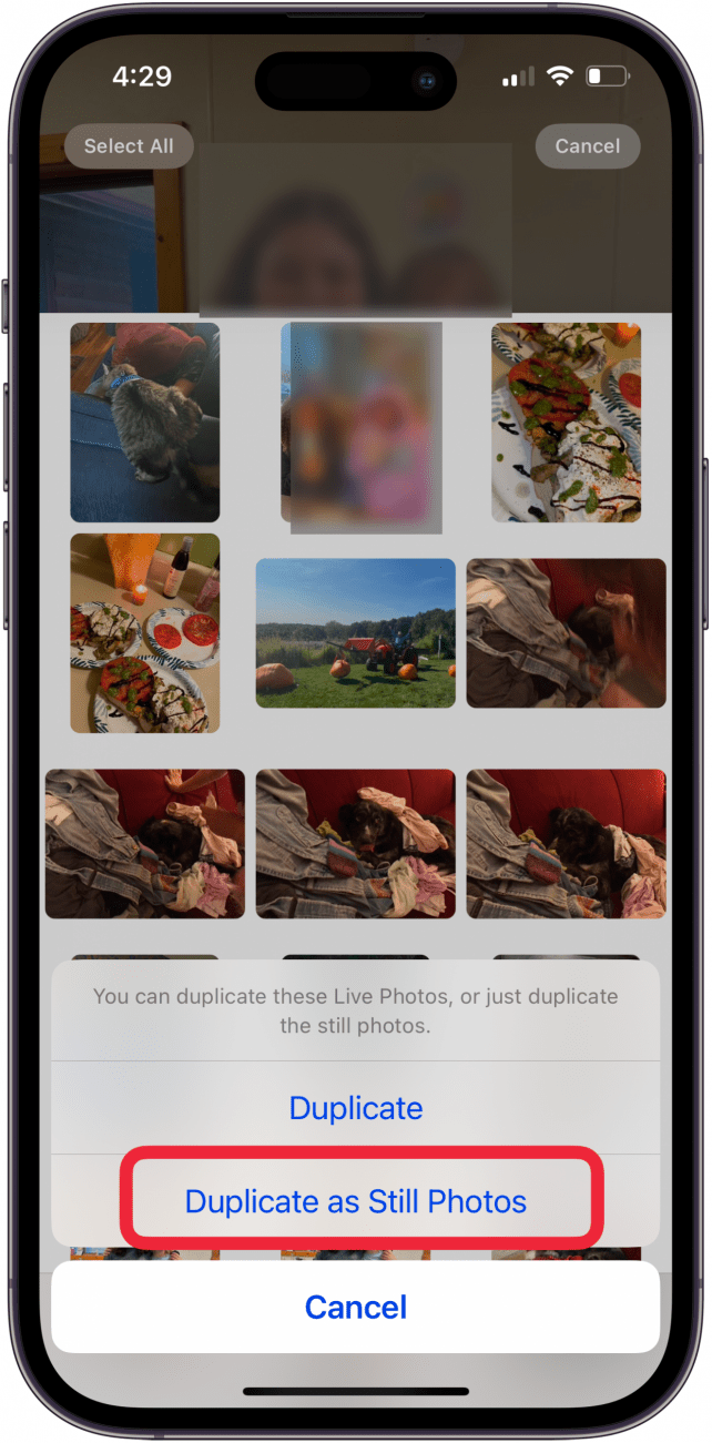 tap duplicate as still photos