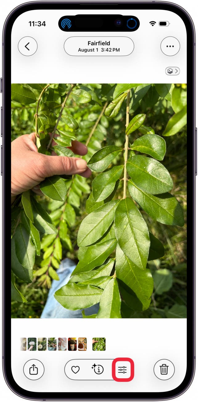 tap edit icon to crop photo