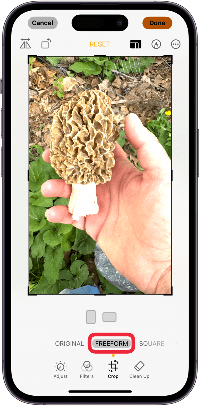 tap freeform in photo size options