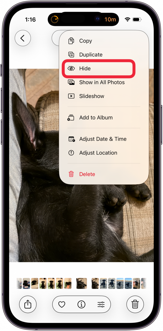 tap hide to hide iphone photo tap hide to hide iphone photo