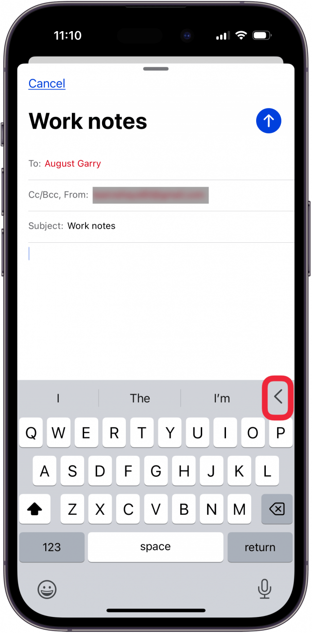 tap left pointing arrow to open email font options