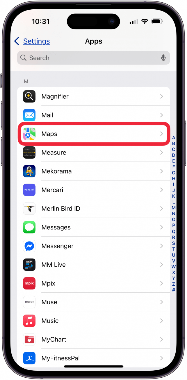 tap maps in iphone app settings