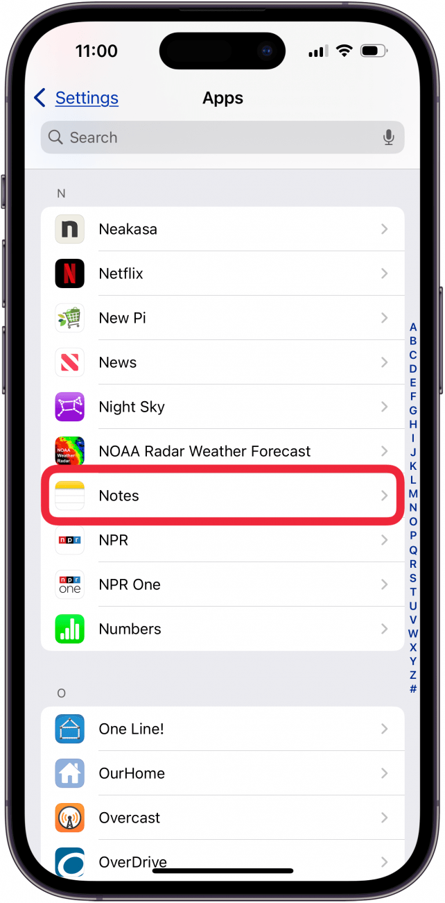 tap notes in iphone app settings