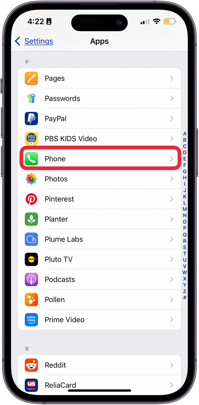 tap phone in iphone app settings