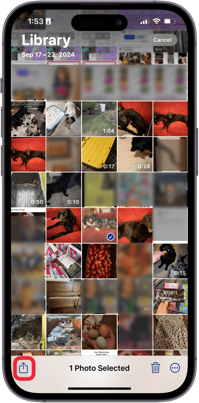 tap photos to change to pdf then tap share icon