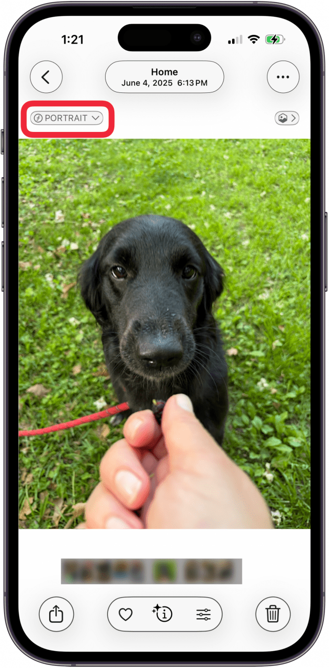 tap portrait tap portrait