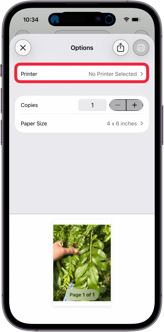 tap printer under options