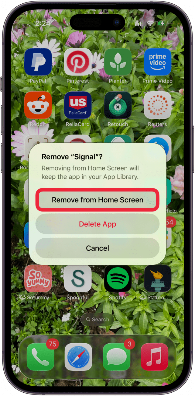 tap remove from home screen