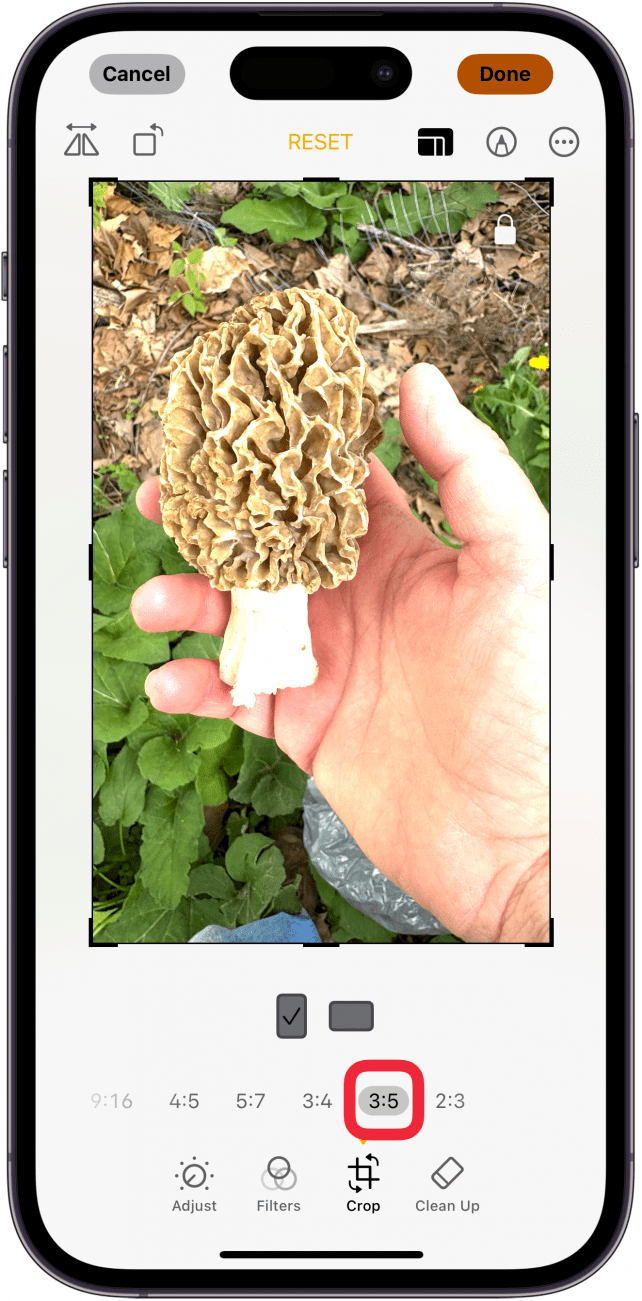 tap resize photo iphone option