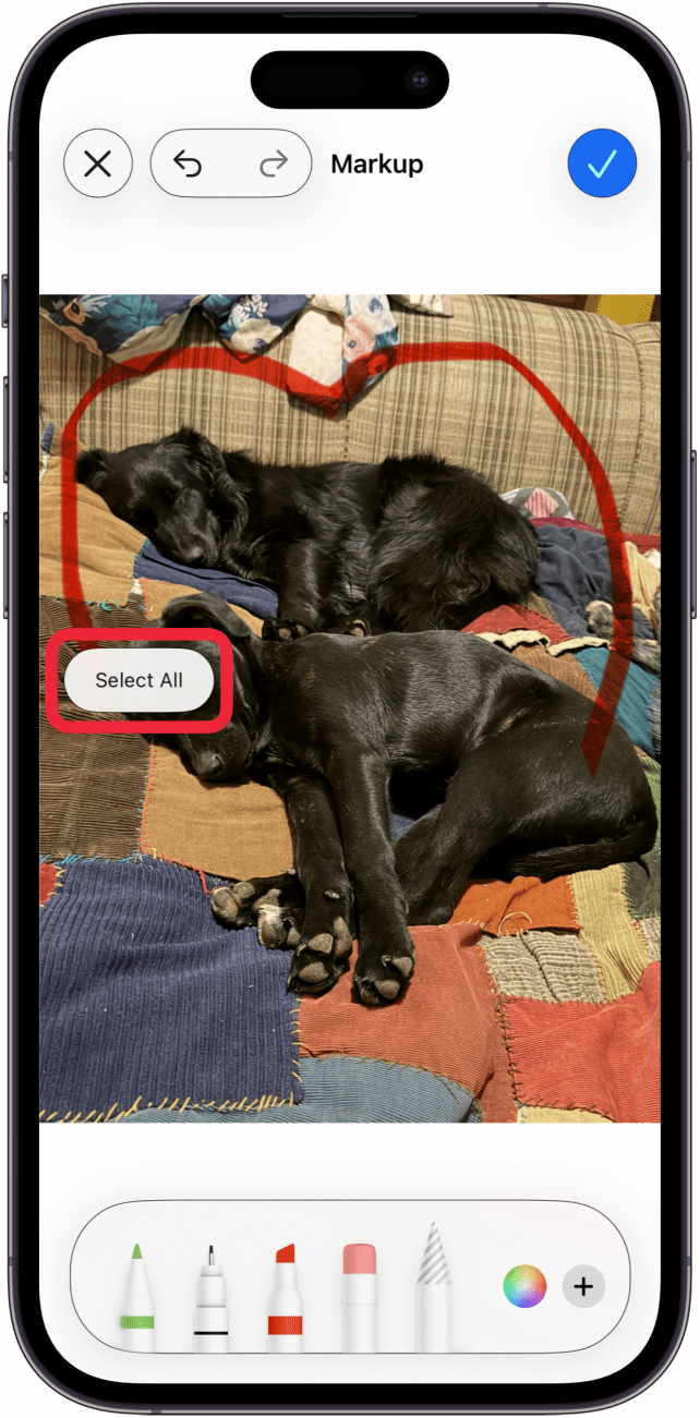 tap select all to select all markup