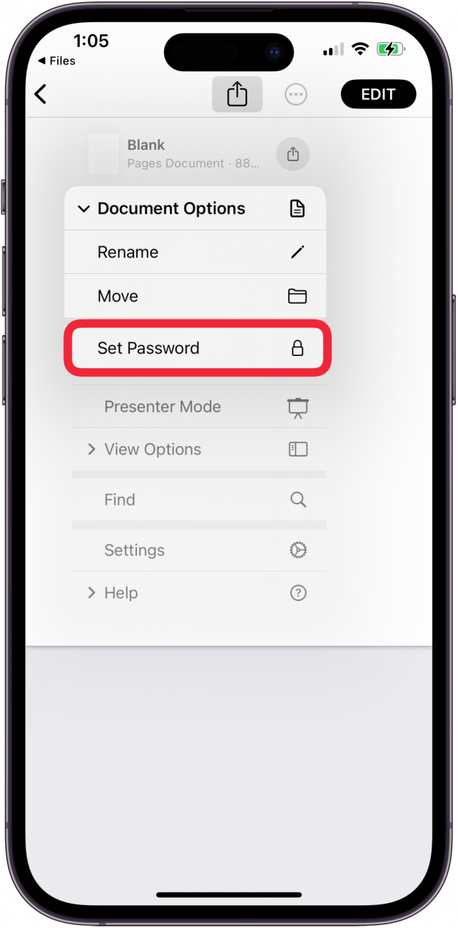 tap set password to hide pages file on iphone