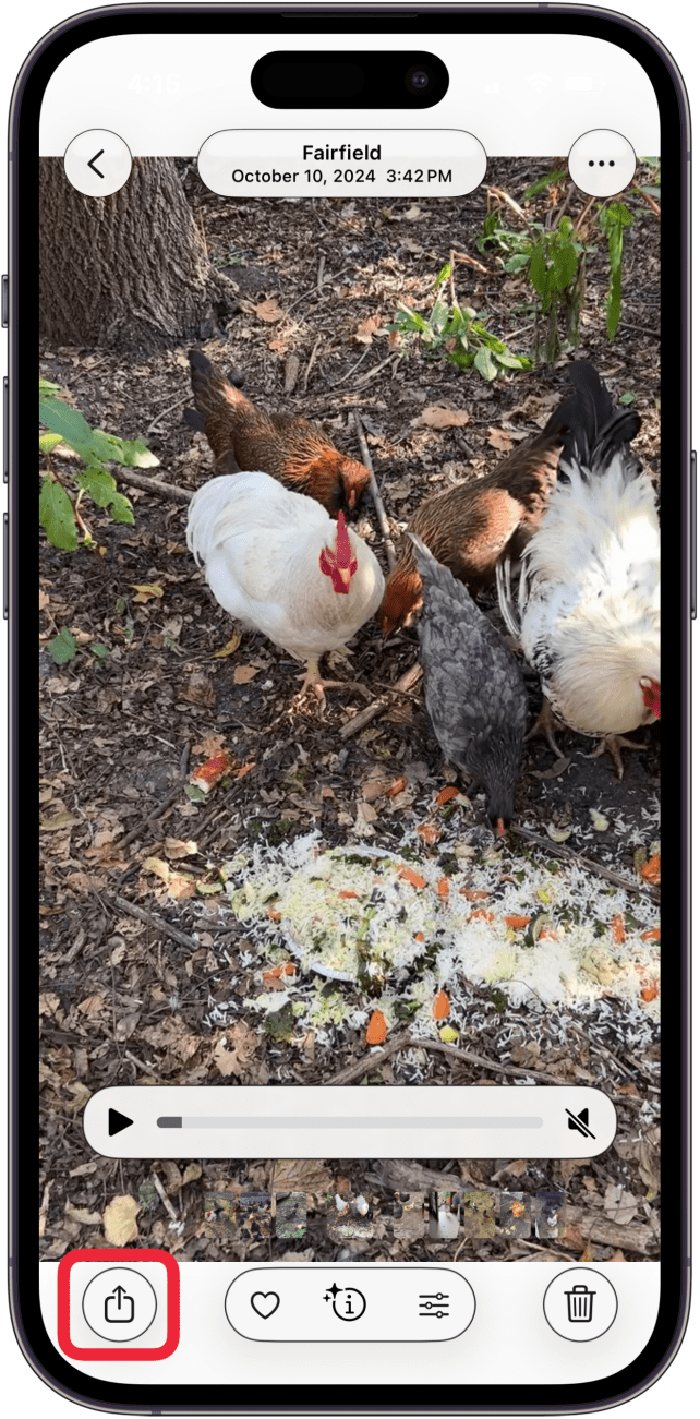 tap share icon to share video via icloud link