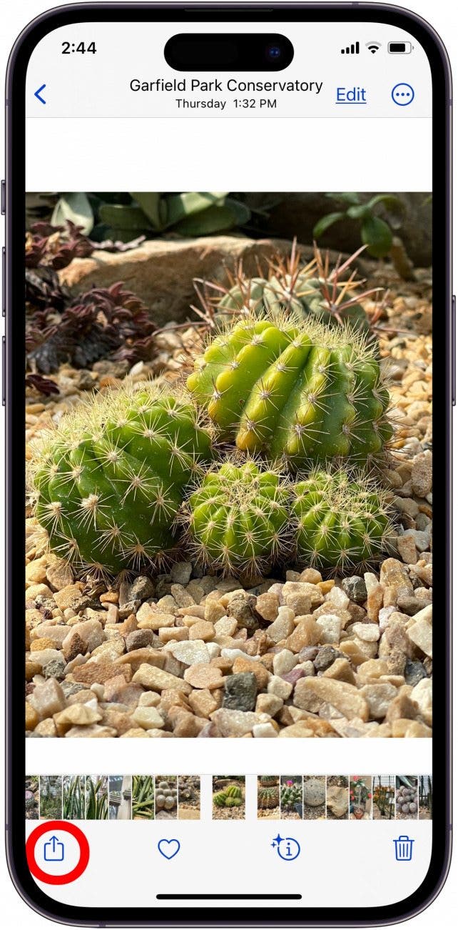 tap share icon to use photo as iphone or ipad wallpaper tap share icon to use photo as iphone or ipad wallpaper