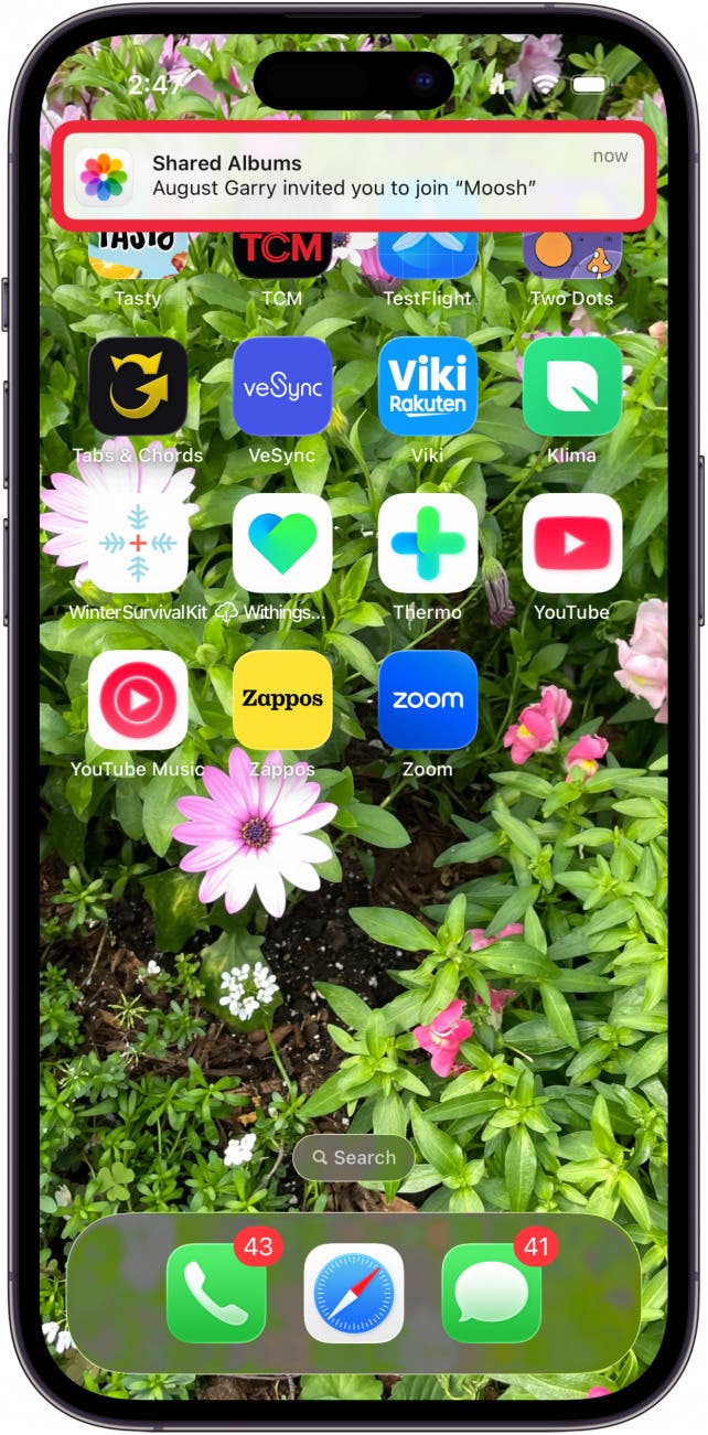 tap shared albums notification on home screen tap shared albums notification on home screen