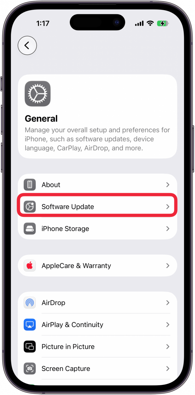 tap software update in general settings
