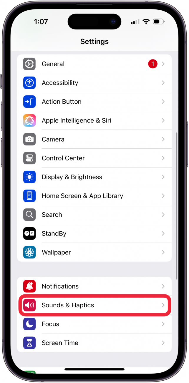 tap sound and haptics in iphone settings