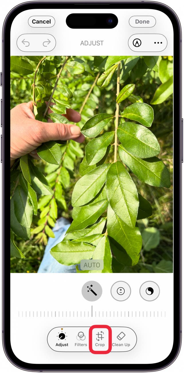 tap the crop icon in photo