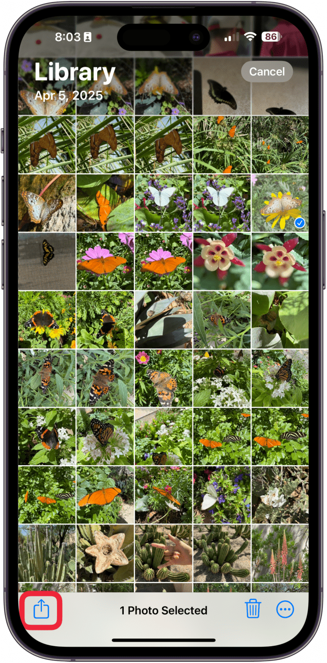 tap the share icon to print photo from iphone or ipad