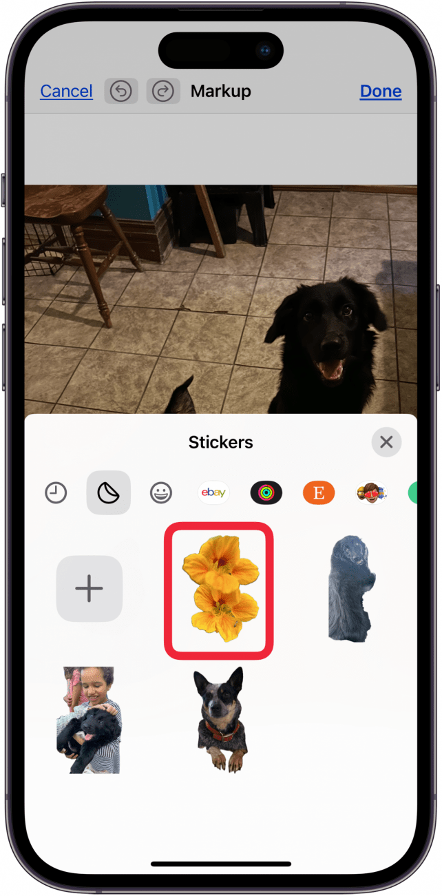tap the sticker you want to add to photo iphone