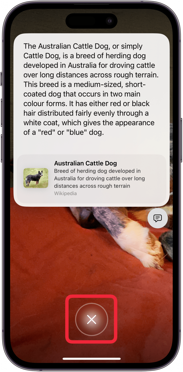 tap the x to close visual intelligence results