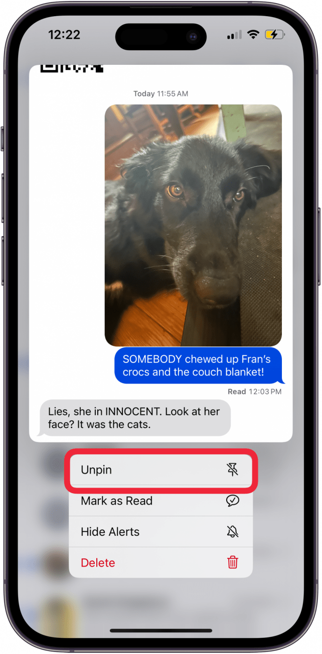 tap unpin to unpin contact on iphone