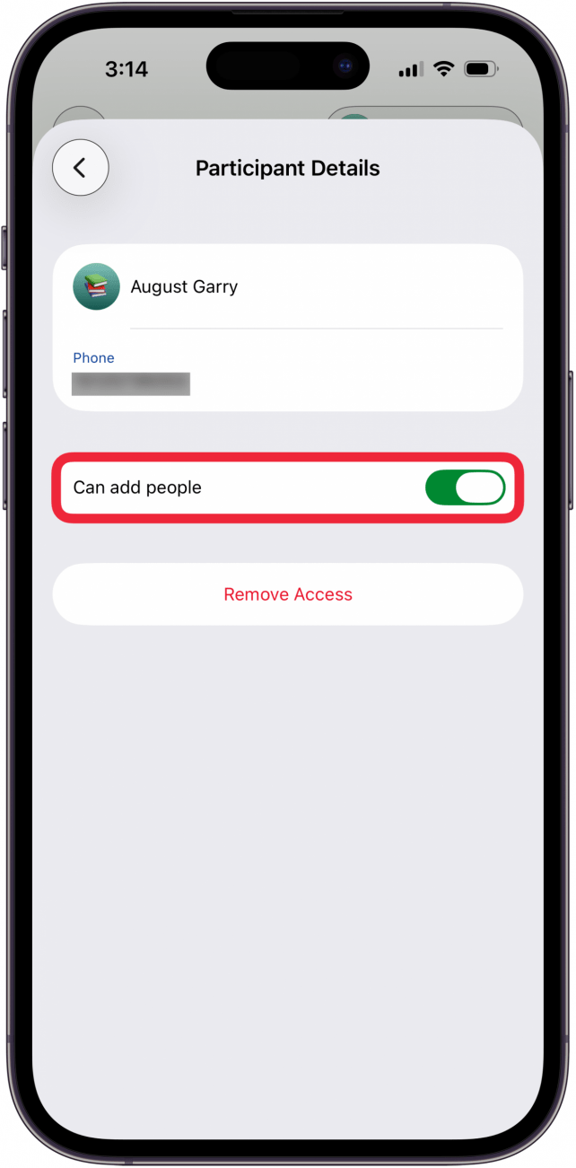 toggle on can add people toggle on can add people