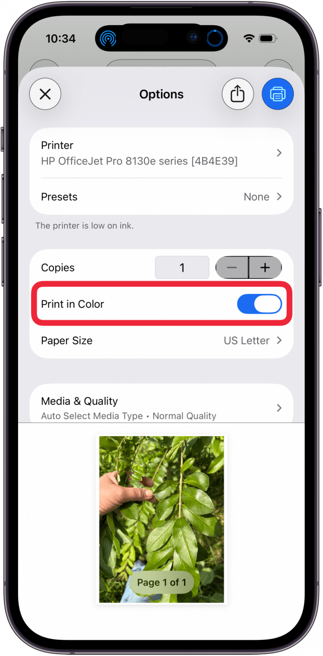toggle on print in color