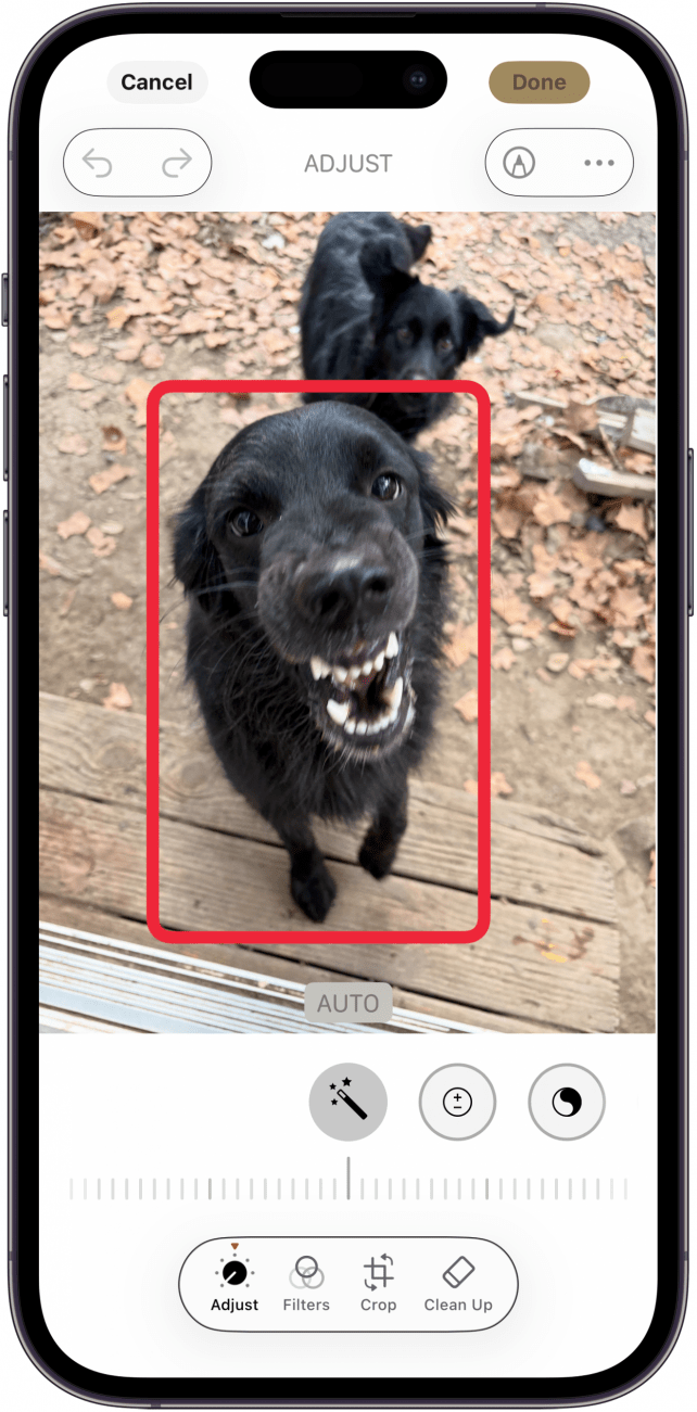 touch and hold the part of the photo you want to turn into a sticker