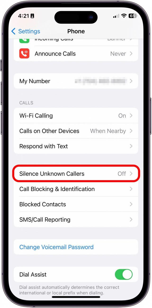 How to Turn Off Silent Mode on iPhone