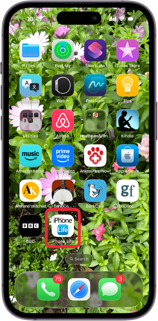 website on home screen as app