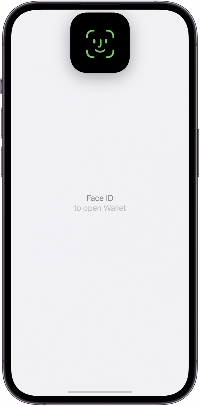 Dynamic Island Apple Pay Confirmation icon