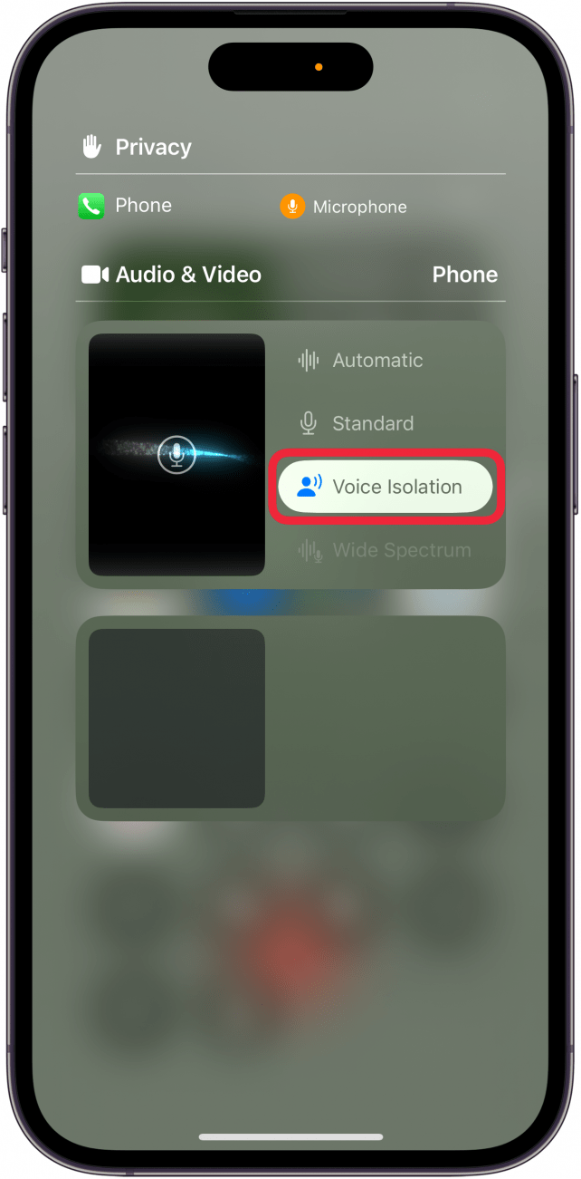 iphone phone controls with a red box around voice isolation