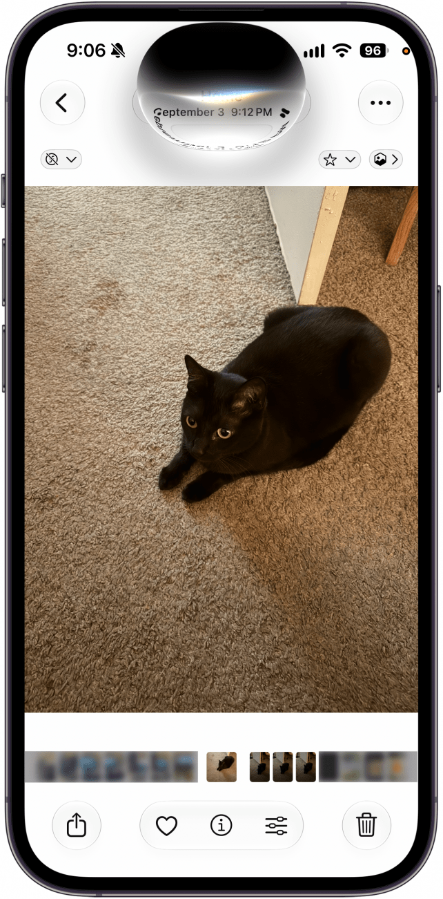 a screenshot of the photos app on iphone displaying a photo of a black cat with siri opened from the dynamic island