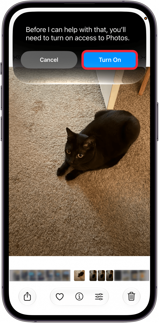 a screenshot of the photos app on iphone displaying a photo of a black cat with siri asking for permission to access photos. there is a red box around the turn on button