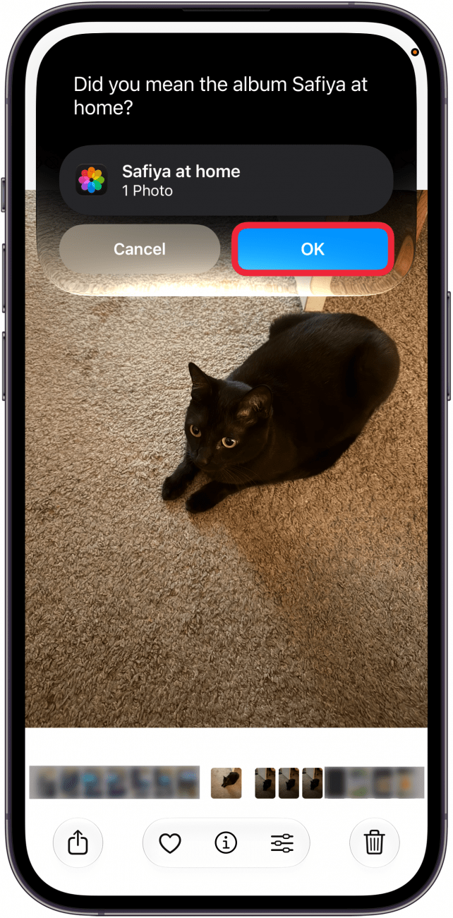 a screenshot of the photos app on iphone displaying a photo of a black cat with siri asking the user to confirm the ablum they want to add the photo to, with a red box around the ok button