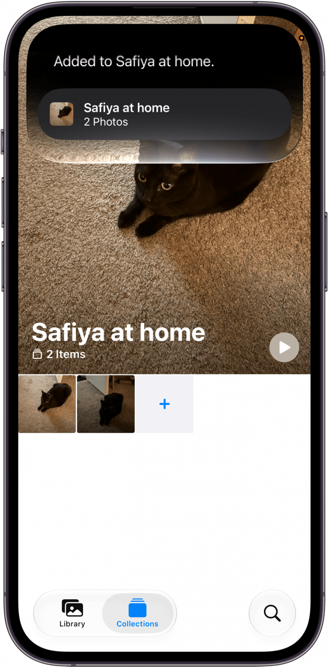 a screenshot of an album in the photos app on the iphone displaying a siri prompt confirming that the photo has been added to the desired album