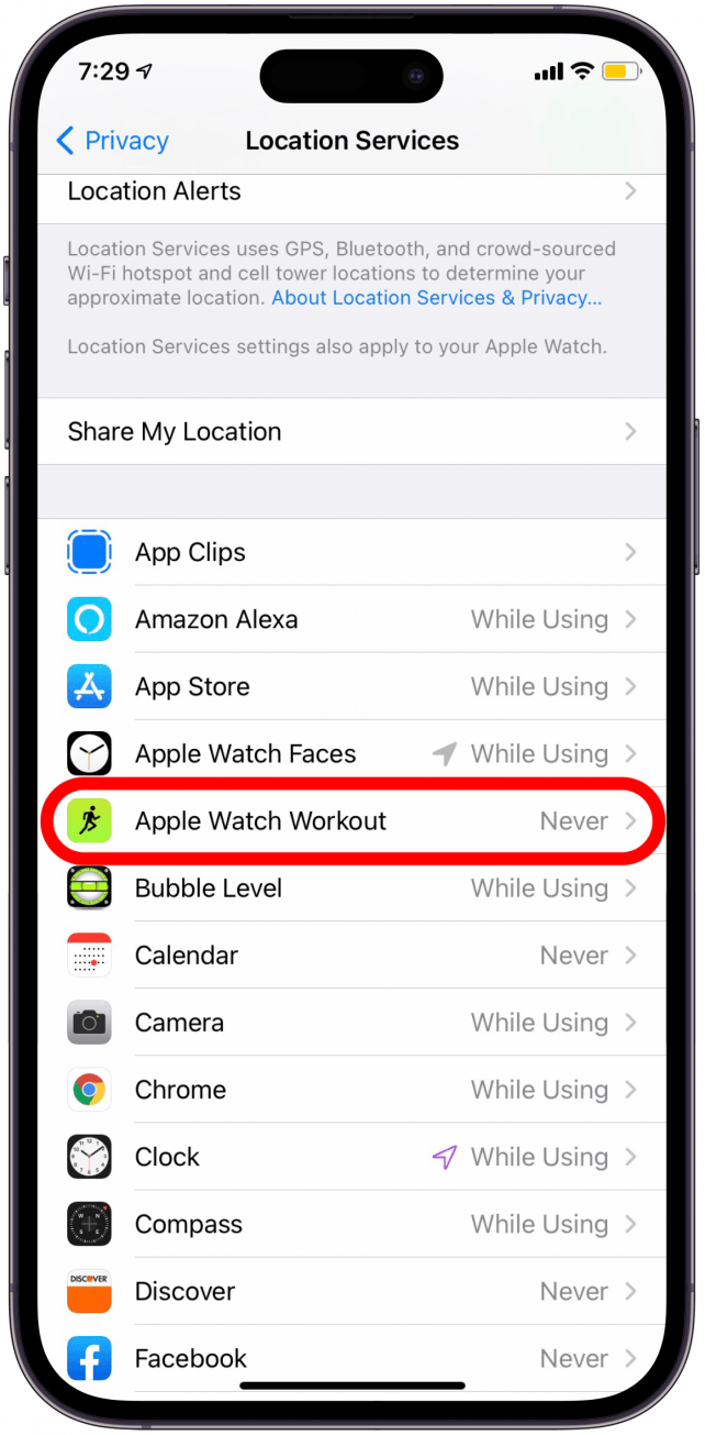 Scroll down and tap on Apple Watch Workouts. 