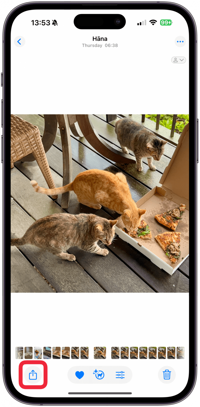 Locate an image you want to share and tap the Share icon.