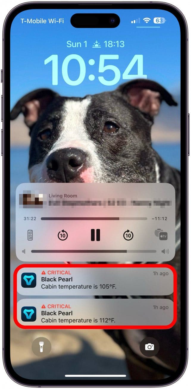 I feel a lot better using the Tessie app because it warns me if the cabin temperature is too high while Dog Mode is activated.