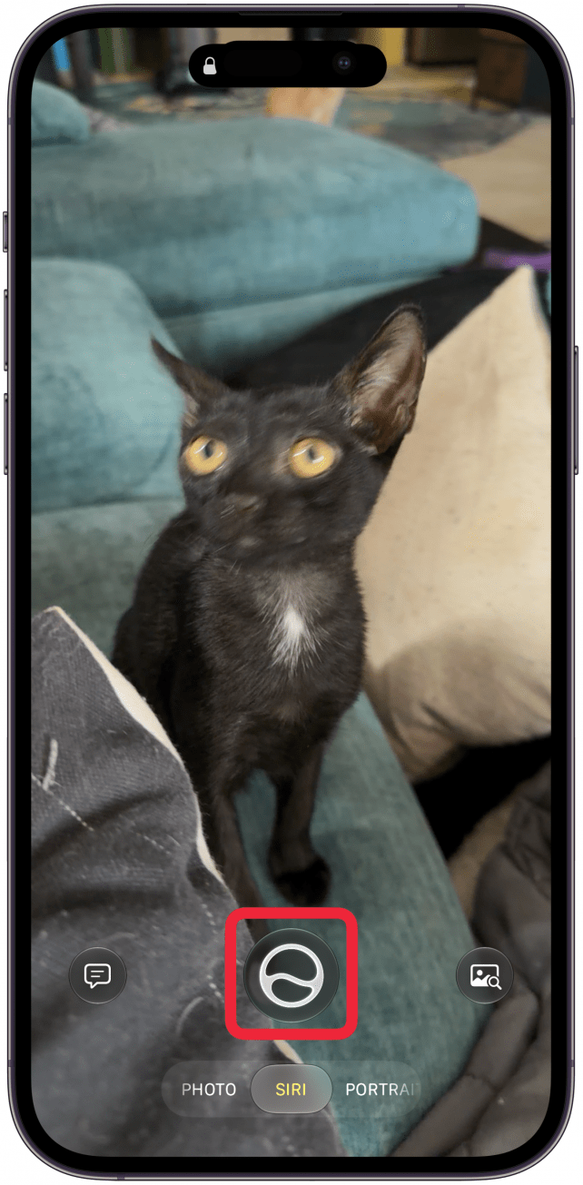 The better way to use Siri mode is to tap the Siri button which is in the same place that the shutter button would be in other Camera app modes.